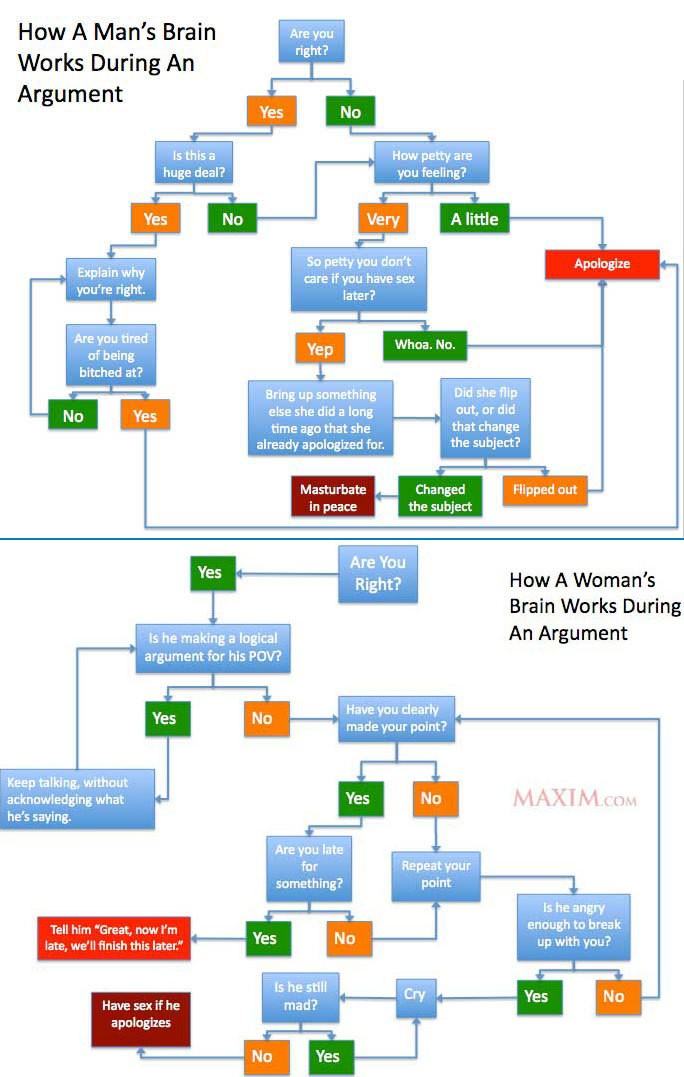 Obrázek argument brain