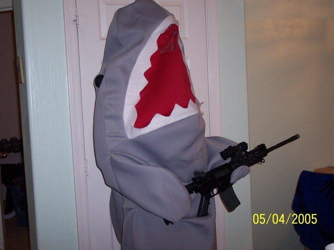 Obrázek armed shark
