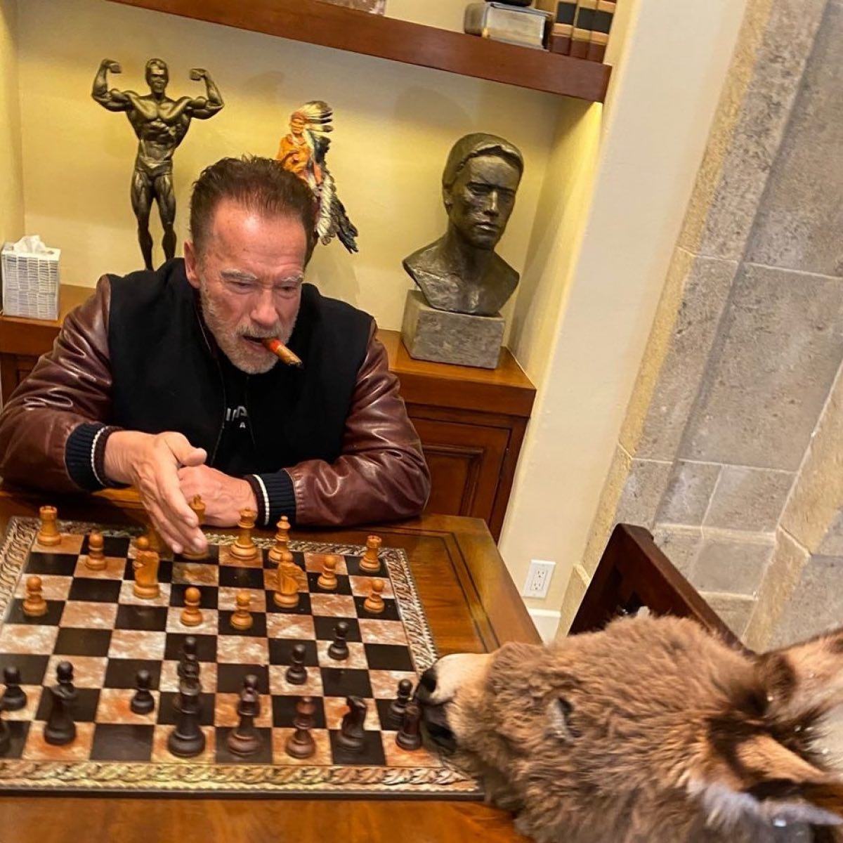 Obrázek arnie v duchodu