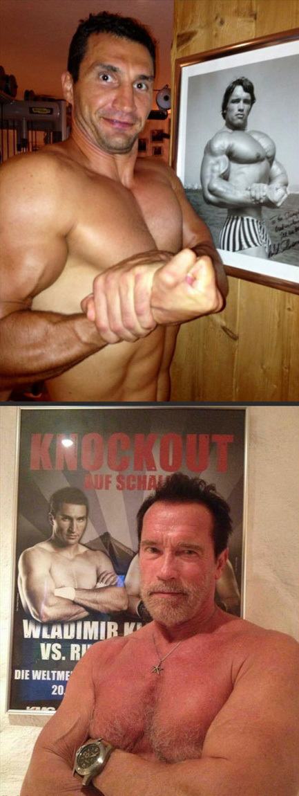 Obrázek arnie vs klitschko