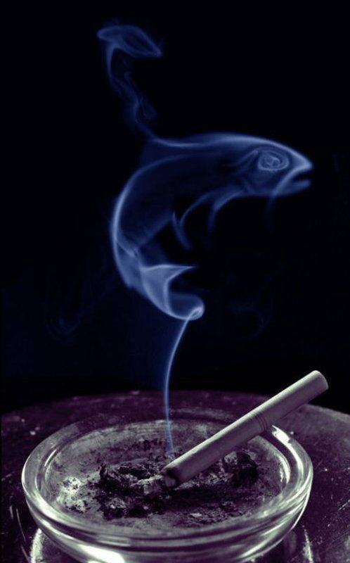 Obrázek art-with-smoke-09