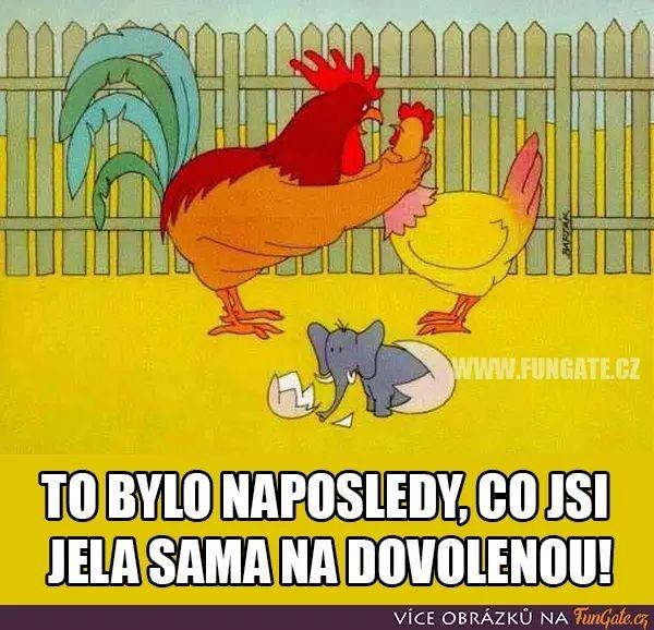 Obrázek asi&nbsp;bartak