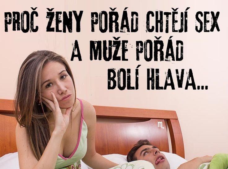 Obrázek asi boxing day