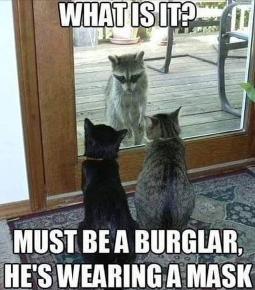 Obrázek asi bulhar