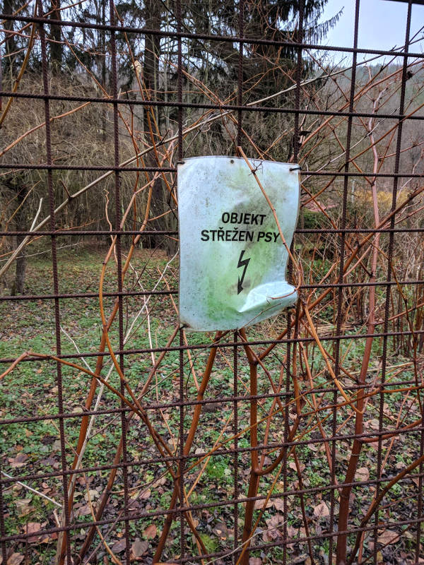 Obrázek asi&nbsp;elektricky&nbsp;pes