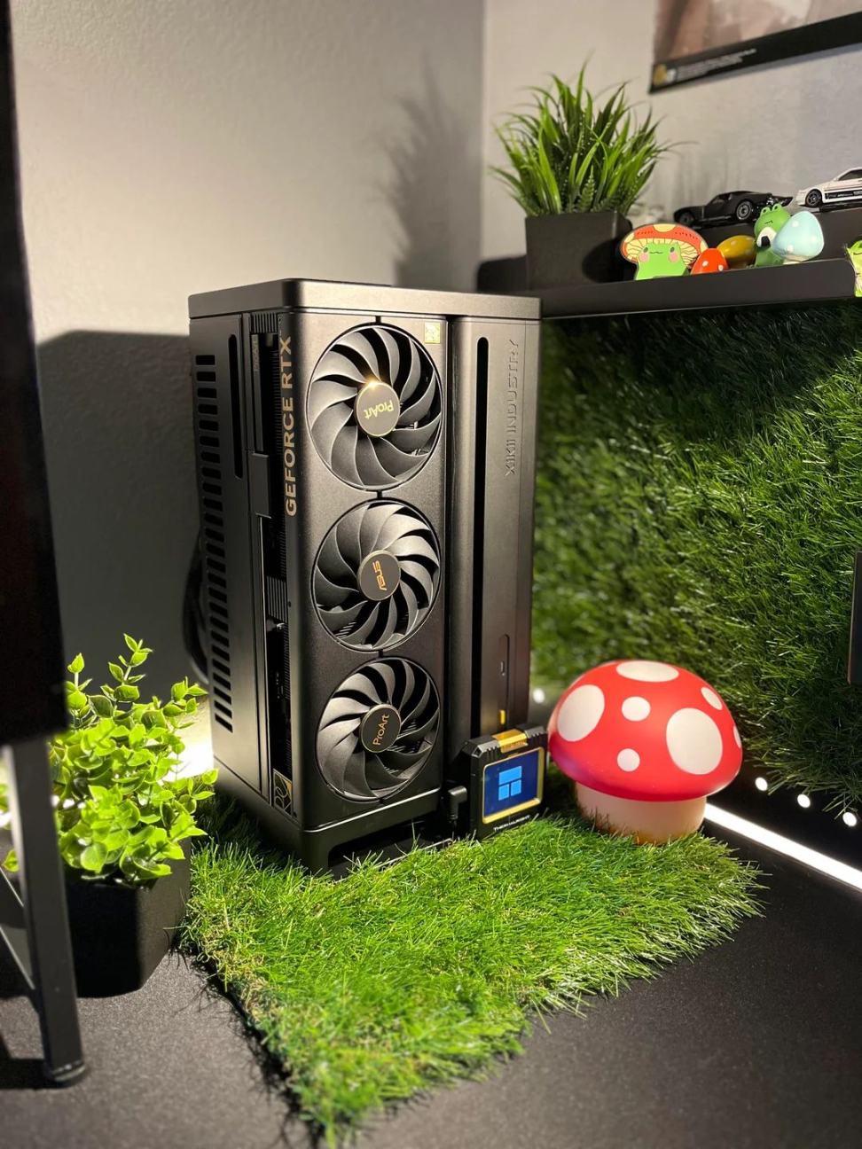 Obrázek asi pestitel