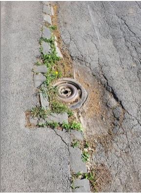 Obrázek asi polski kanal