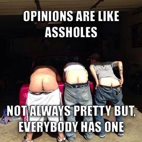 Obrázek assholes&nbsp;opinions