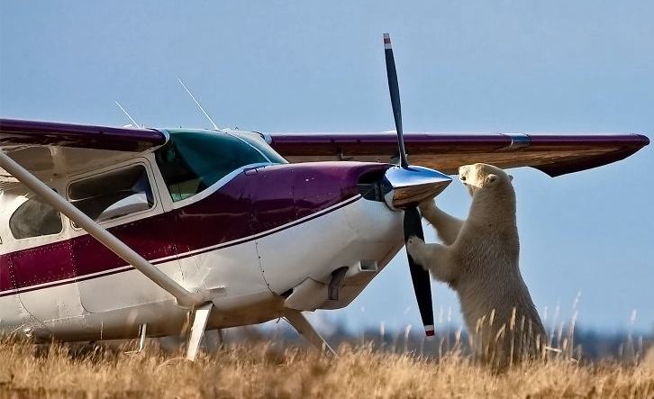 Obrázek assistant pilot. 