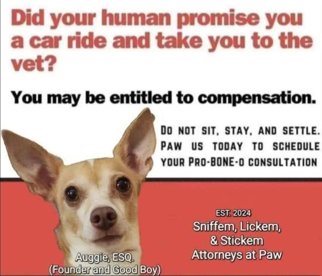 Obrázek attorney at paw