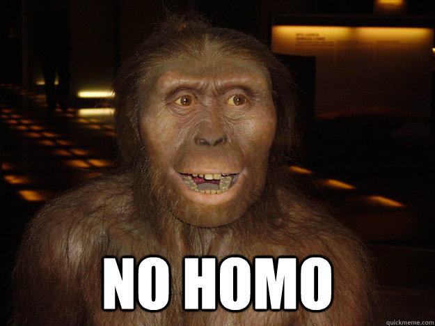 Obrázek australopithecus