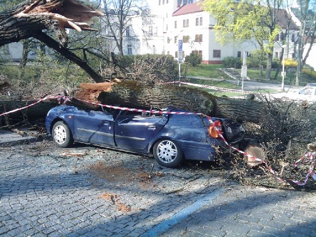 Obrázek auto plne dreva 1