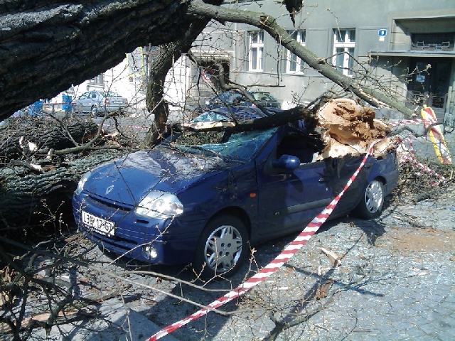 Obrázek auto plne dreva 2