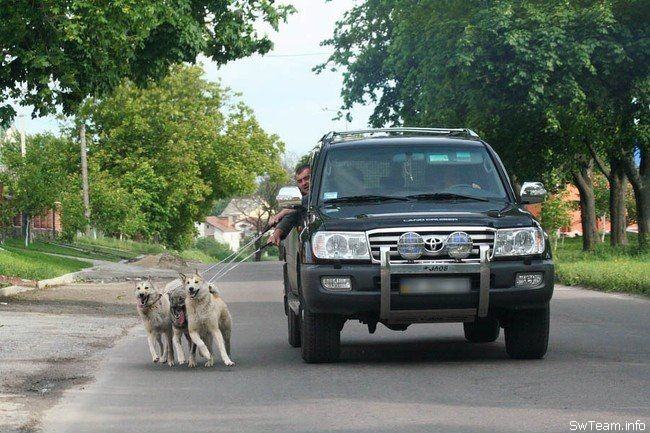 Obrázek auto venceni