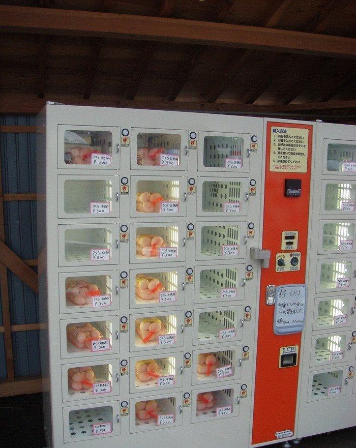 Obrázek automat na prodej vajec