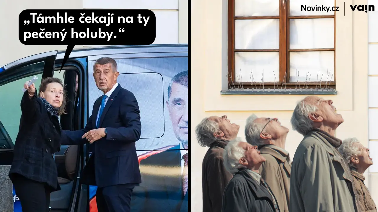 Obrázek babis holubi