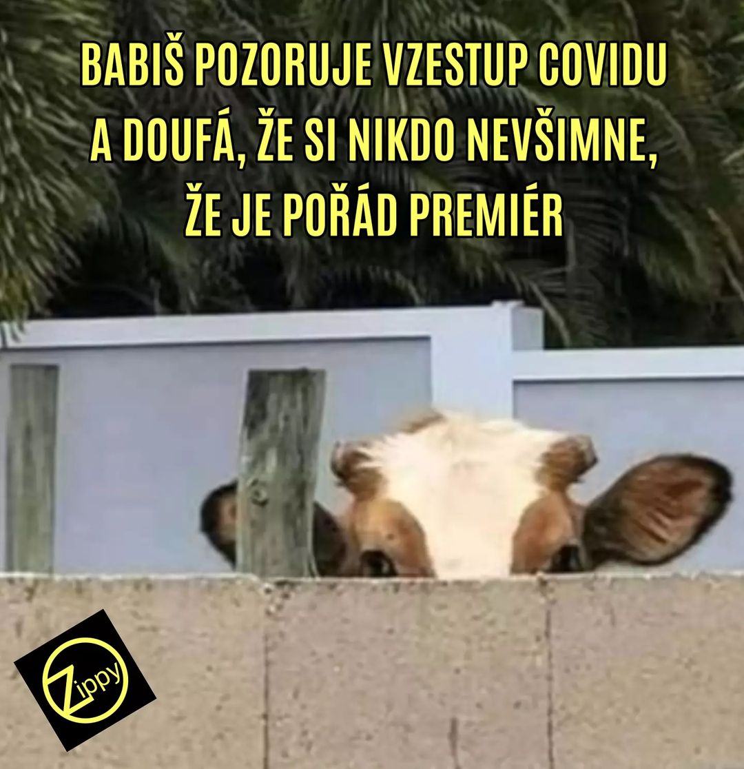 Obrázek babis pozoruje covid