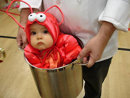 Obrázek baby-lobster