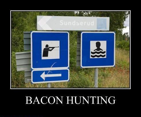 Obrázek bacon-hunting