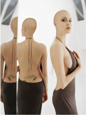 Obrázek bald Angelina Jolie