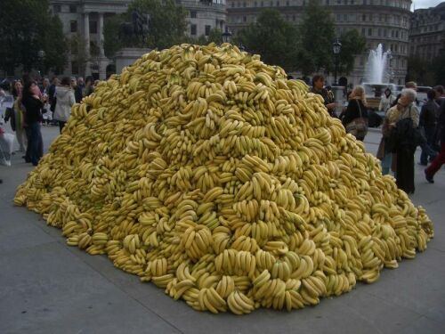 Obrázek bananas