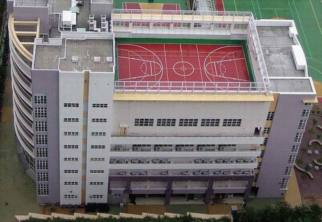 Obrázek basket na strese