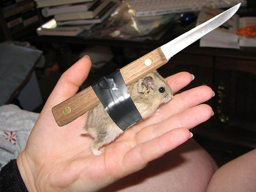 Obrázek battlehamster