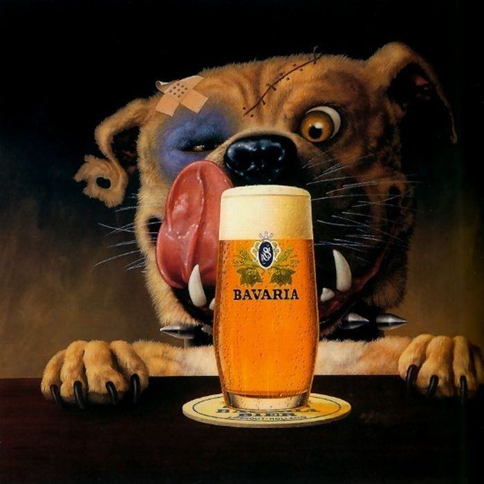 Obrázek bavaria beer