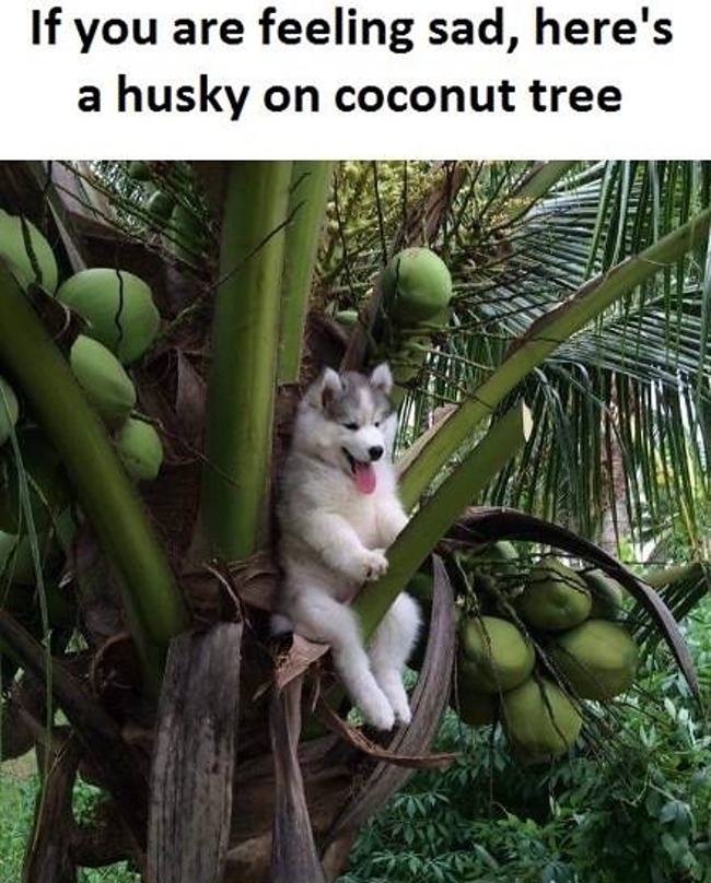 Obrázek be happy8IU8