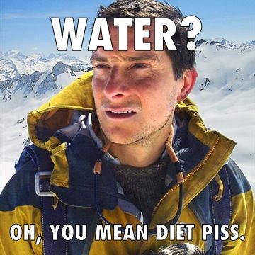 Obrázek bear water