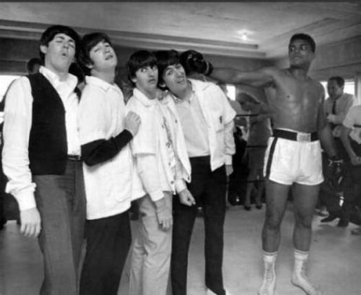 Obrázek beatles vs boxer