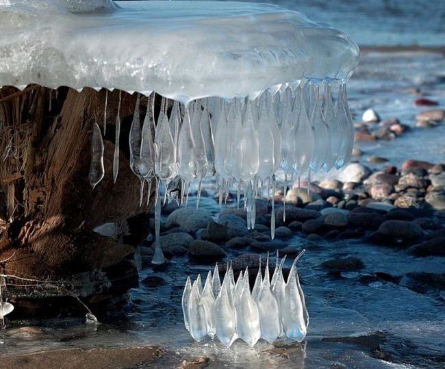 Obrázek beautiful frozen
