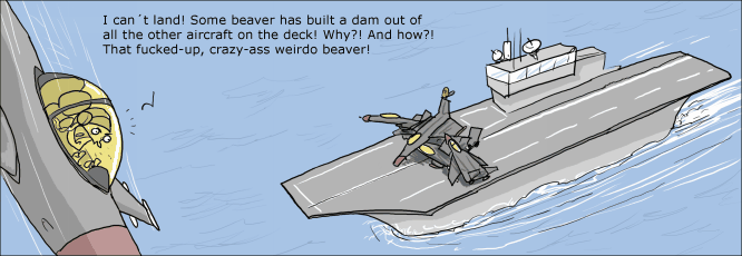 Obrázek beaver2