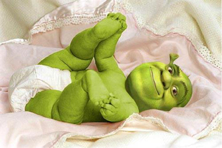 Obrázek bebe shrek