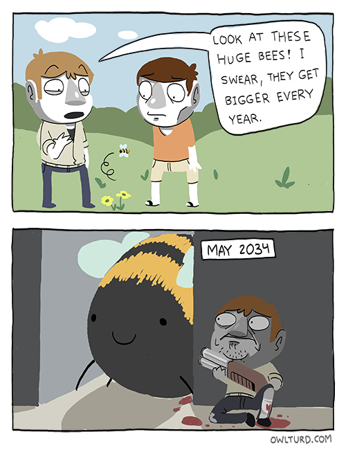 Obrázek bees