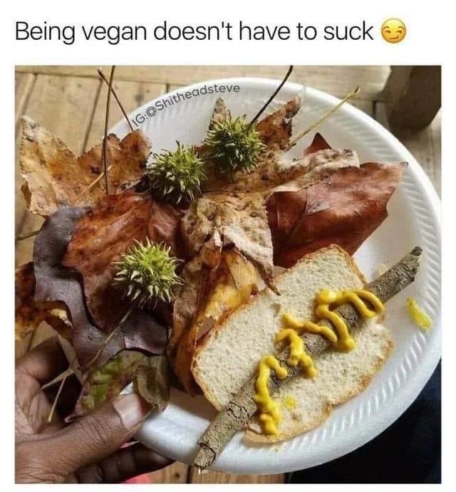 Obrázek being vegan