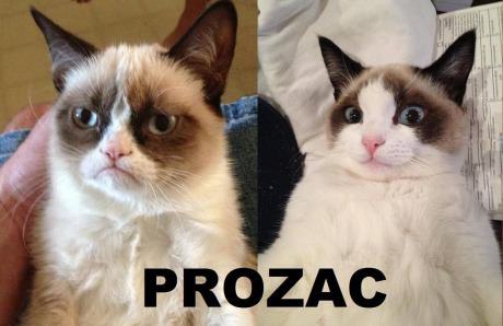 Obrázek better than snickers