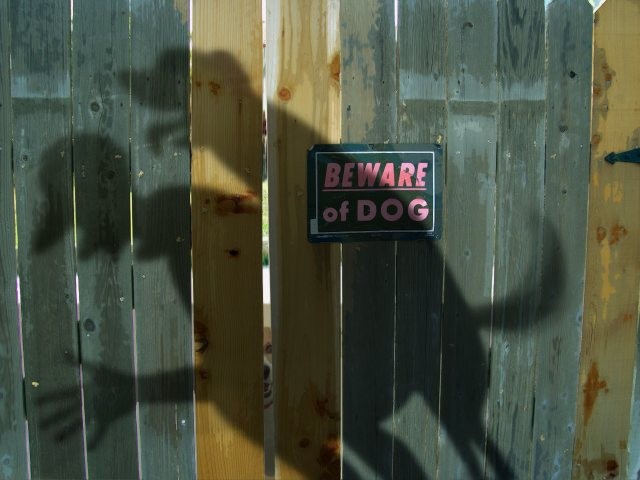 Obrázek beware of dog