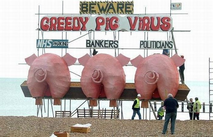 Obrázek beware pigs virus