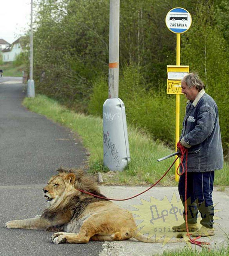 Obrázek bez nahubku do busu nelez