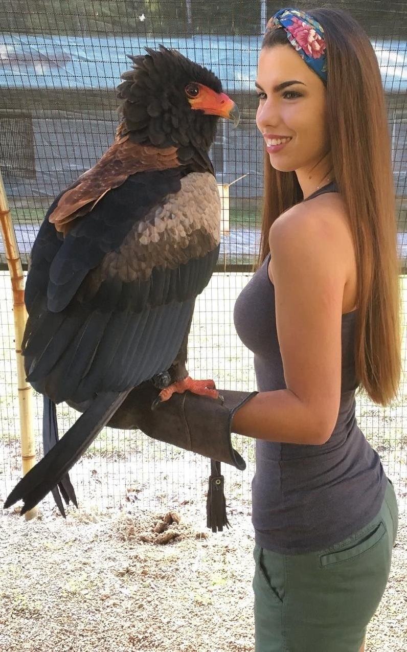 Obrázek big black ptak