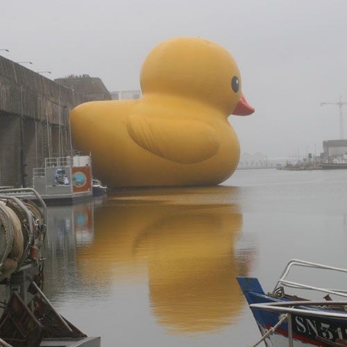 Obrázek big duck