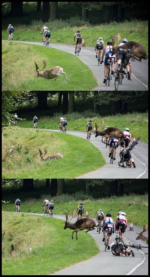 Obrázek bike-accident