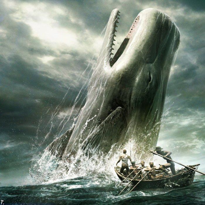 Obrázek bila velryba na Roumingu