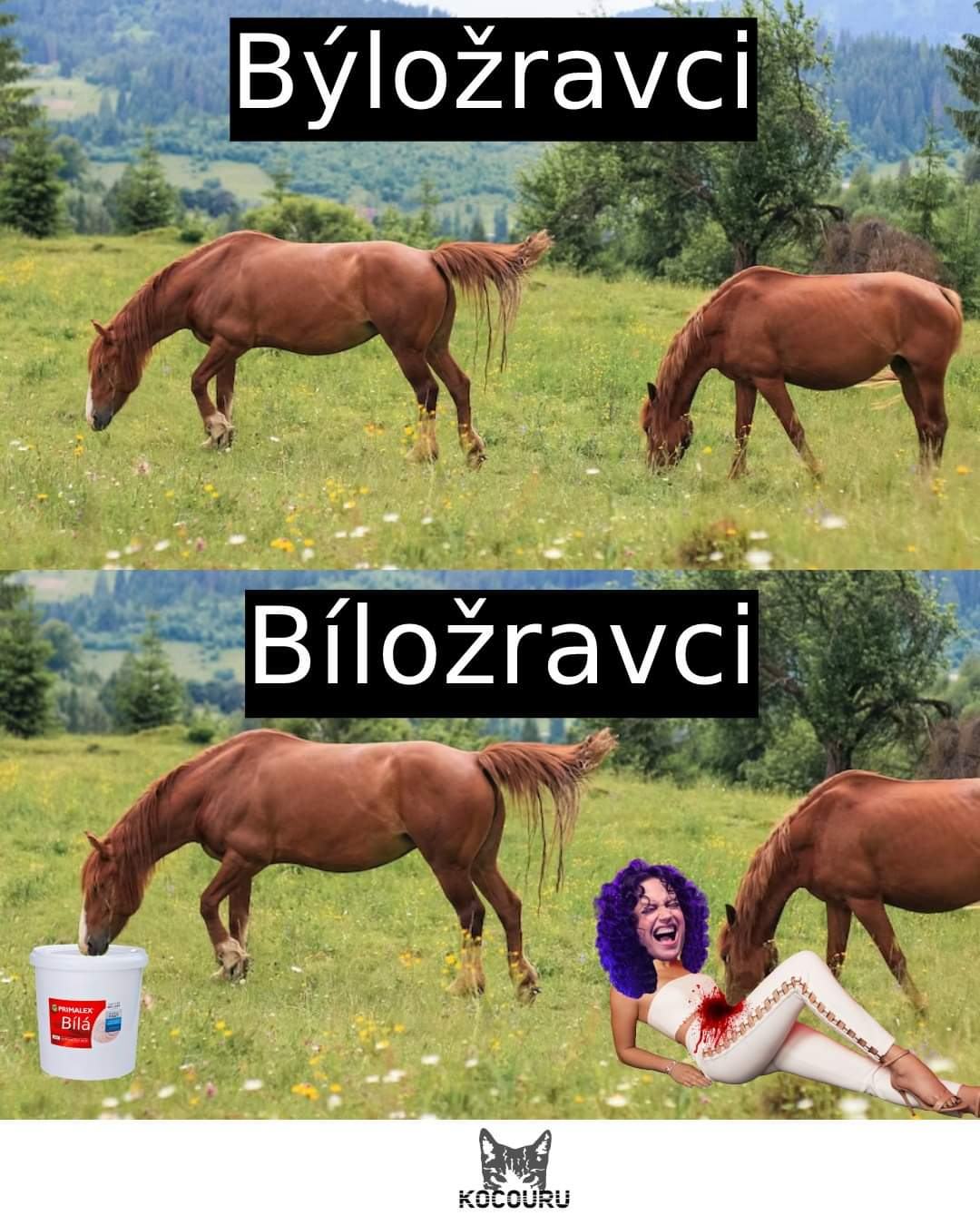 Obrázek bilozravci