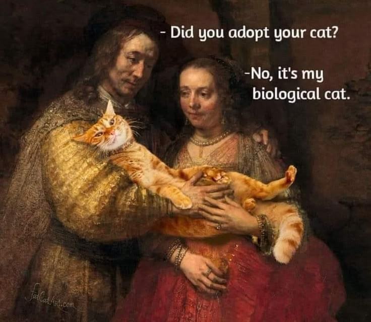Obrázek biocat