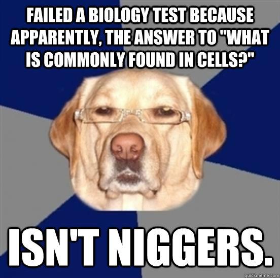 Obrázek biology test