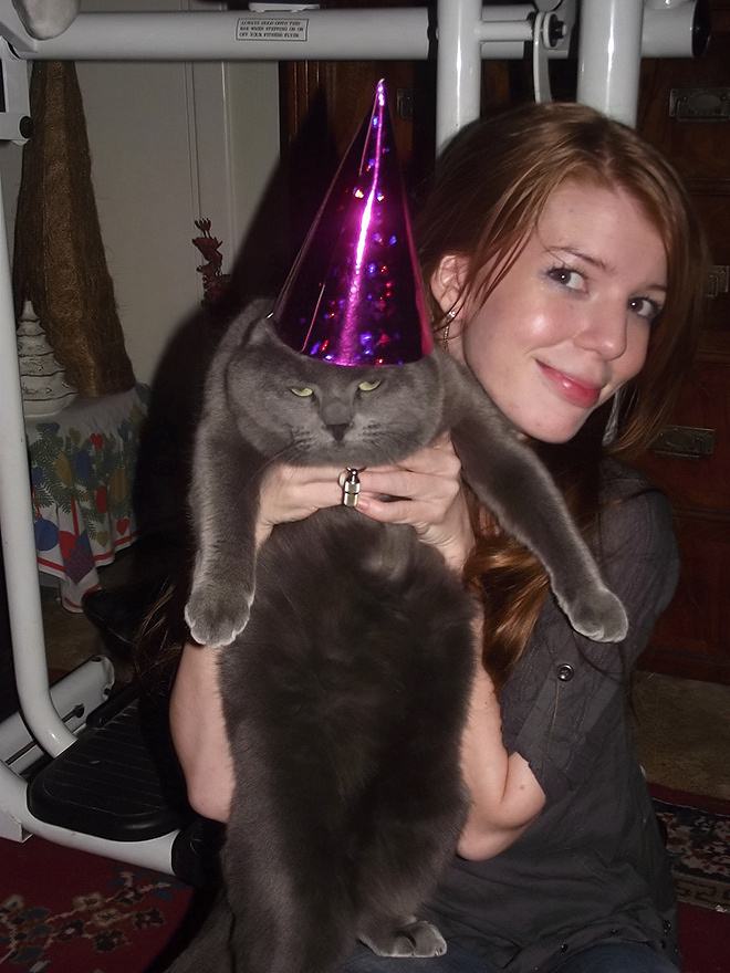 Obrázek birthday-cat 