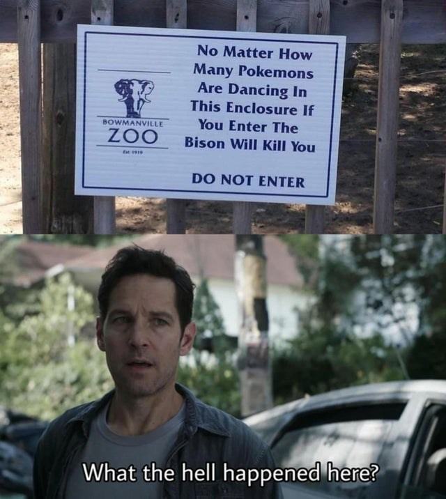 Obrázek bisexualson