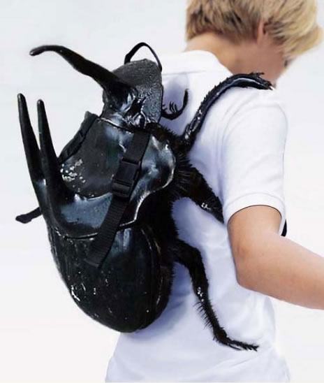 Obrázek bizarre-beetle-bug-backpack